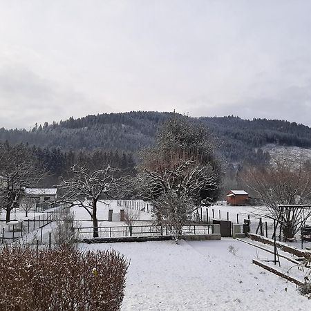 Chez Vovone 3 Etoiles Clevacances Saulxures-sur-Moselotte Dış mekan fotoğraf