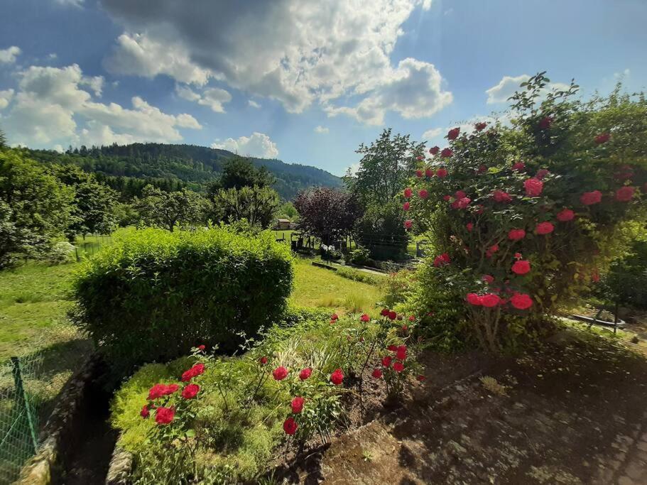 Chez Vovone 3 Etoiles Clevacances Saulxures-sur-Moselotte Dış mekan fotoğraf
