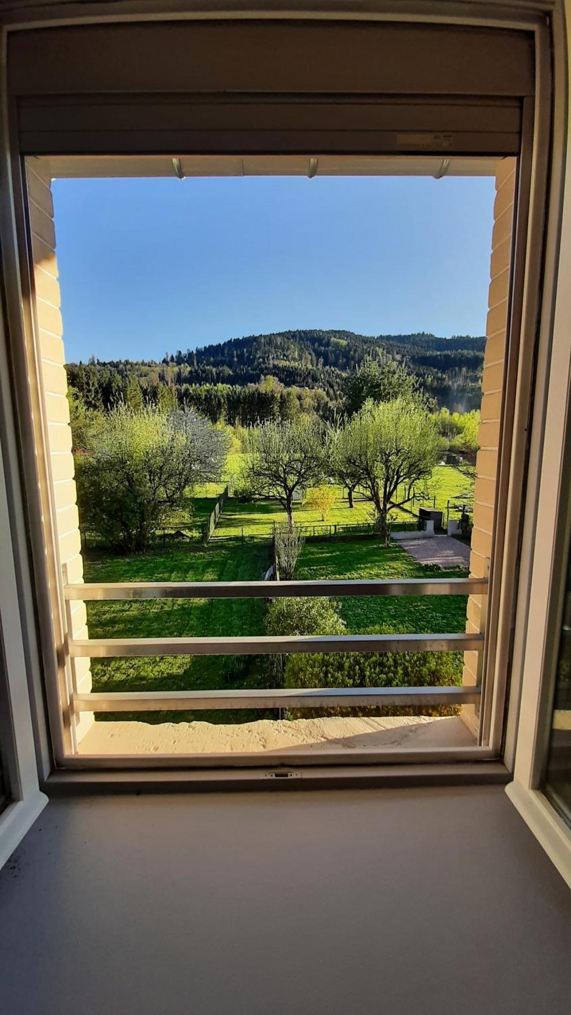 Chez Vovone 3 Etoiles Clevacances Saulxures-sur-Moselotte Dış mekan fotoğraf
